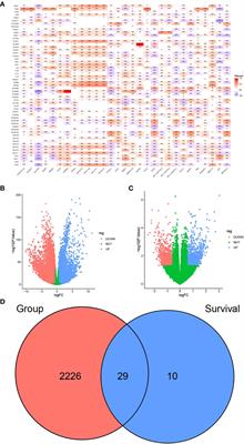 A novel pyroptosis-related indicator of immune infiltration features and prognosis in breast cancer